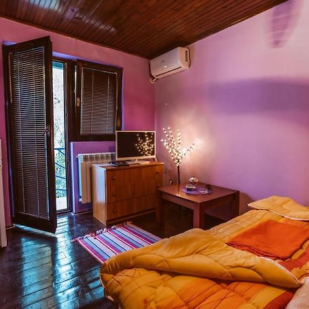 Laufer Hostel Novi Sad Buitenkant foto