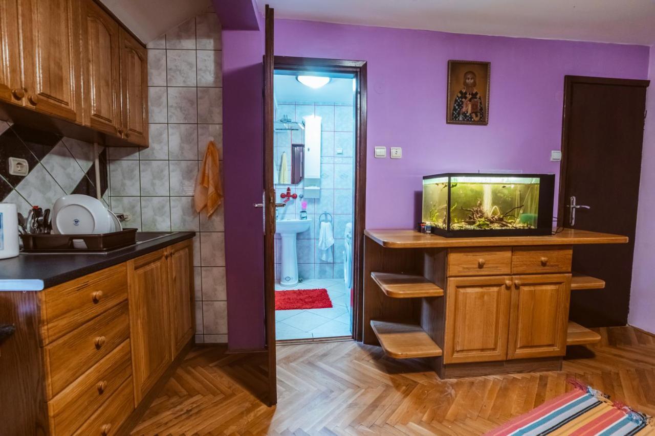 Laufer Hostel Novi Sad Buitenkant foto